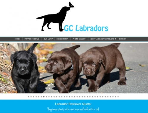 GC Labradors
