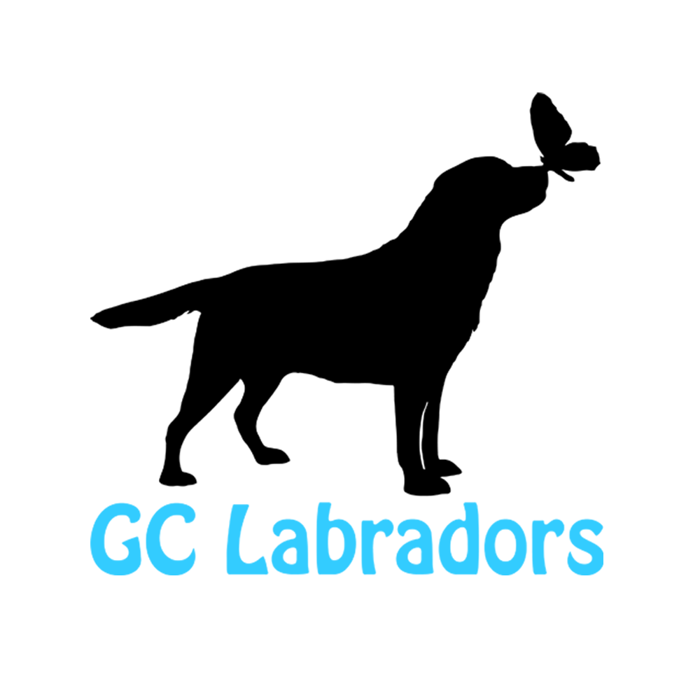 GC Labradors